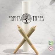 Eden's Trees: Wingsuit - Pre-Roll 2pk
