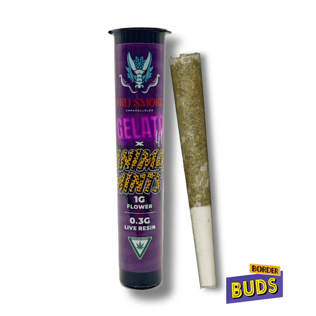 Gelato Animal Mintz Tru Smoke