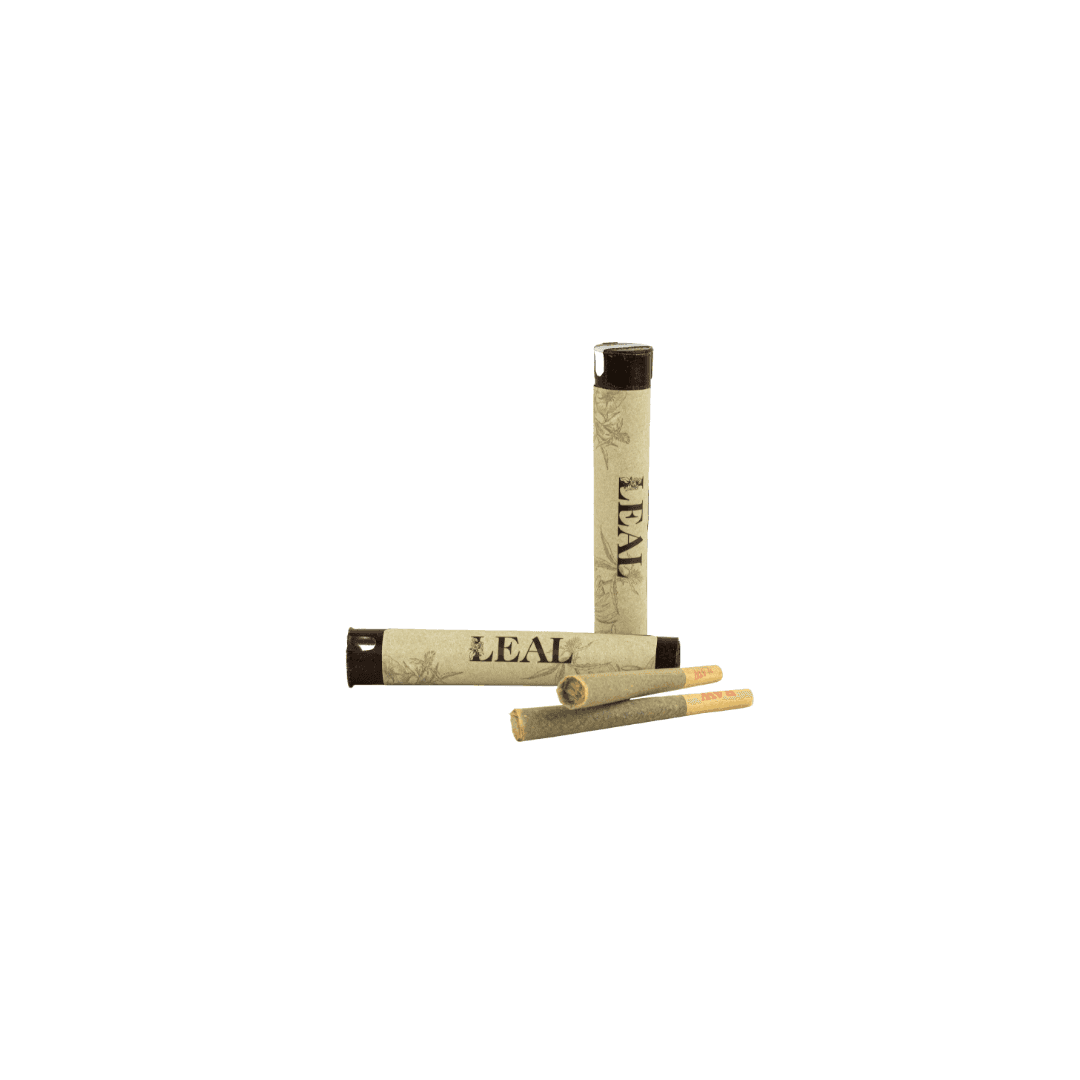 Pre Roll Biscotti