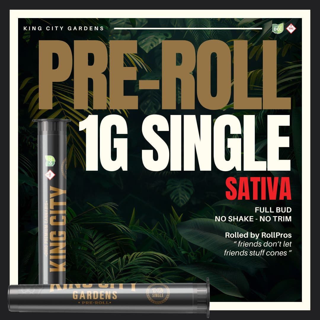 King City: Fire Life - Pre Roll