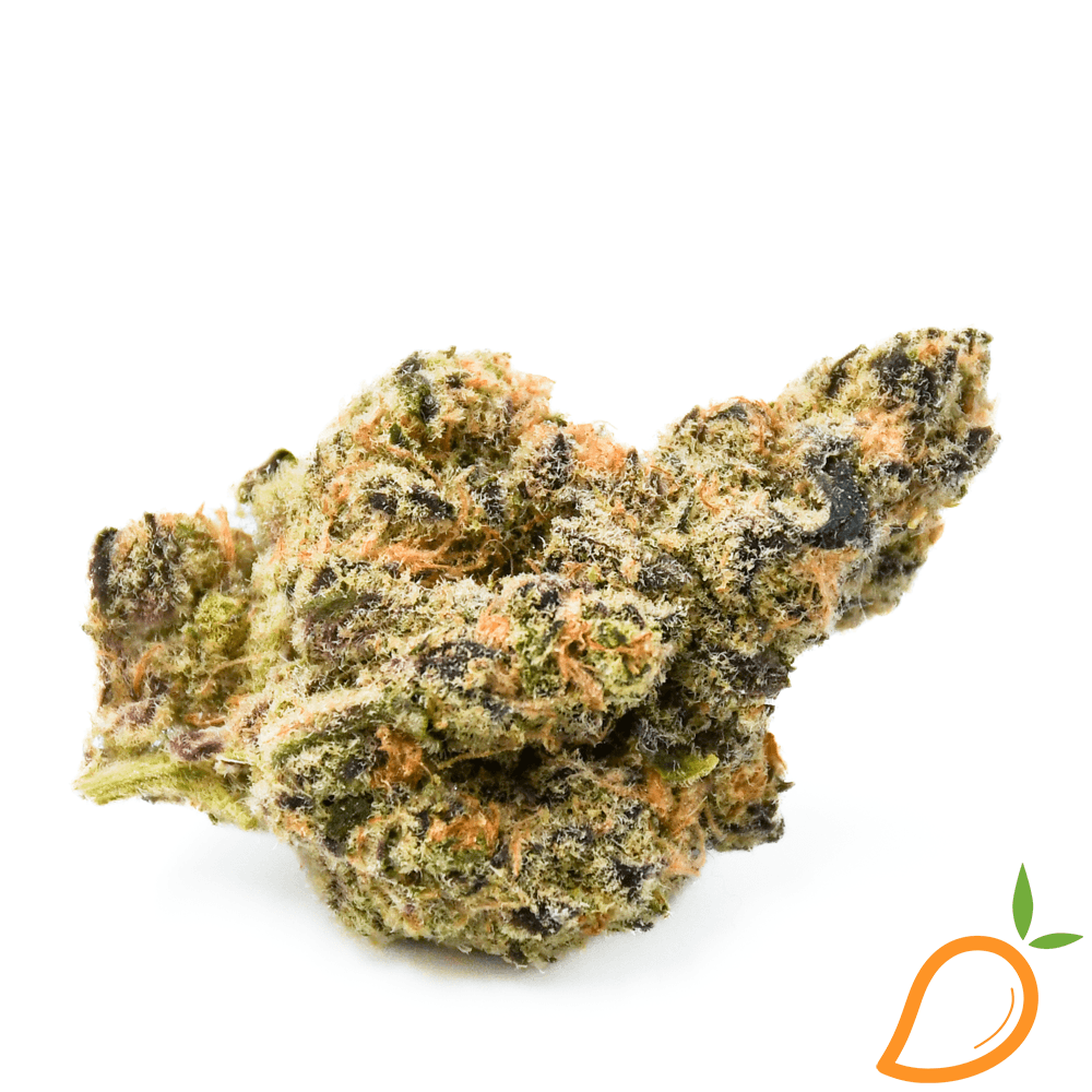 Platinum Lemon Cherry