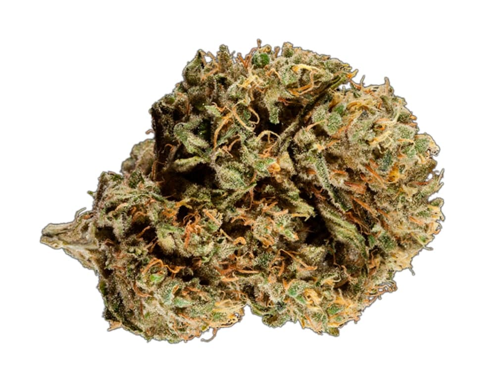 Durban Poison