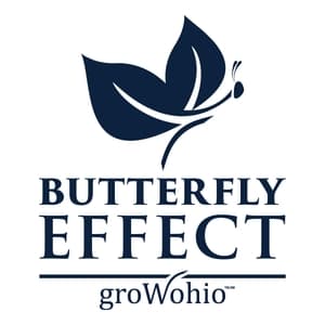 Watermelon Gummies 1:1 THC:CBD 220mg (Hybrid) | Butterfly Effect