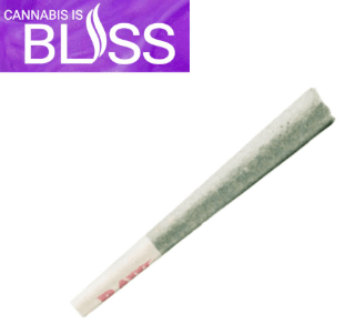 1.25g Infused Pre Roll Watermelon