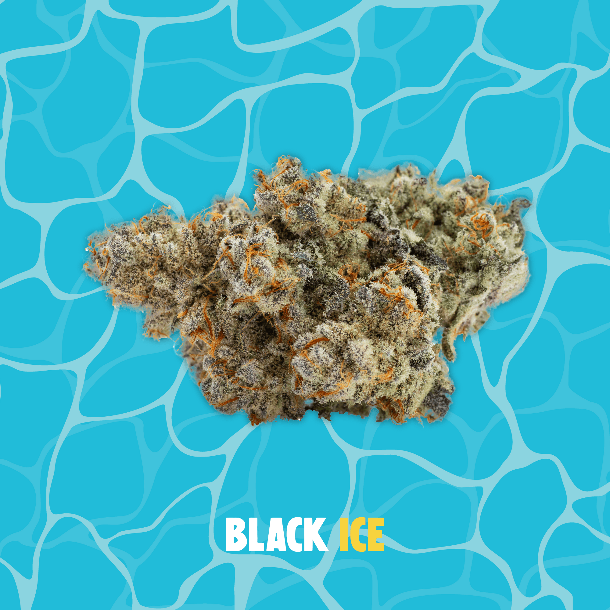 Black Ice