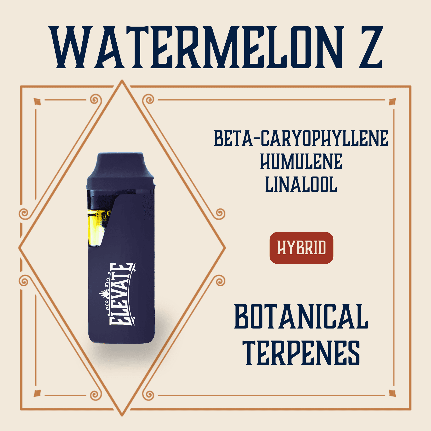 Watermelon Botanical Min Bar
