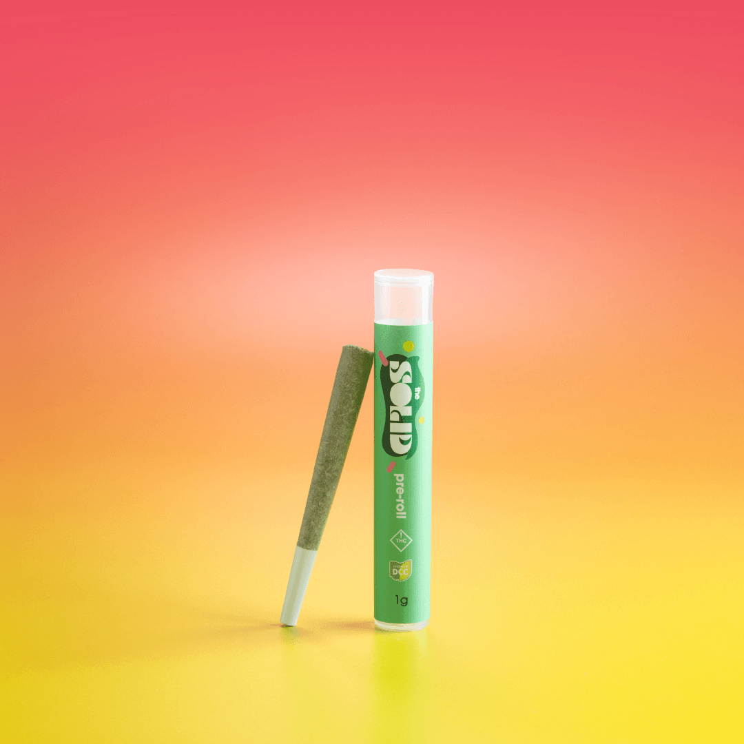 Dirty Pit Stop Pre-Roll 1g (Hybrid) | The Solid