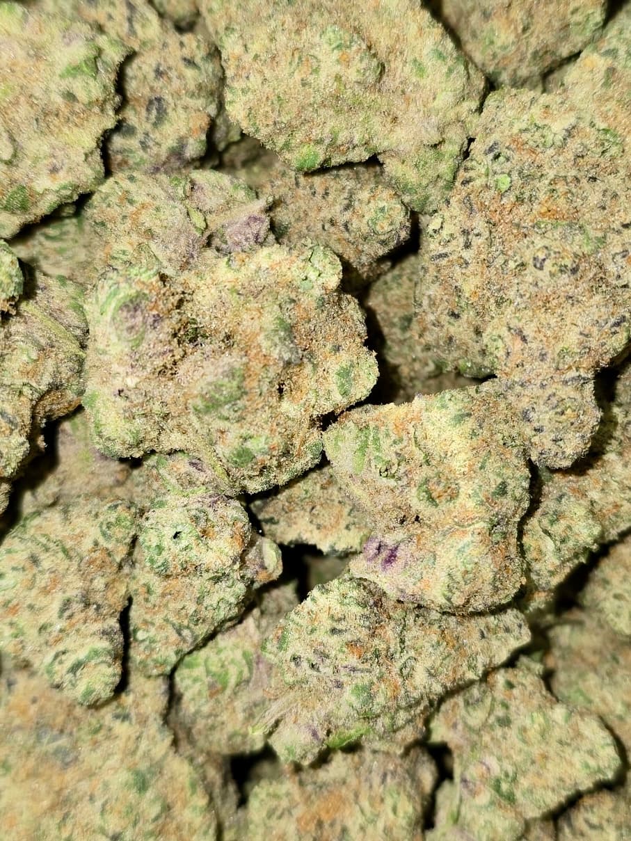 Bear Mints