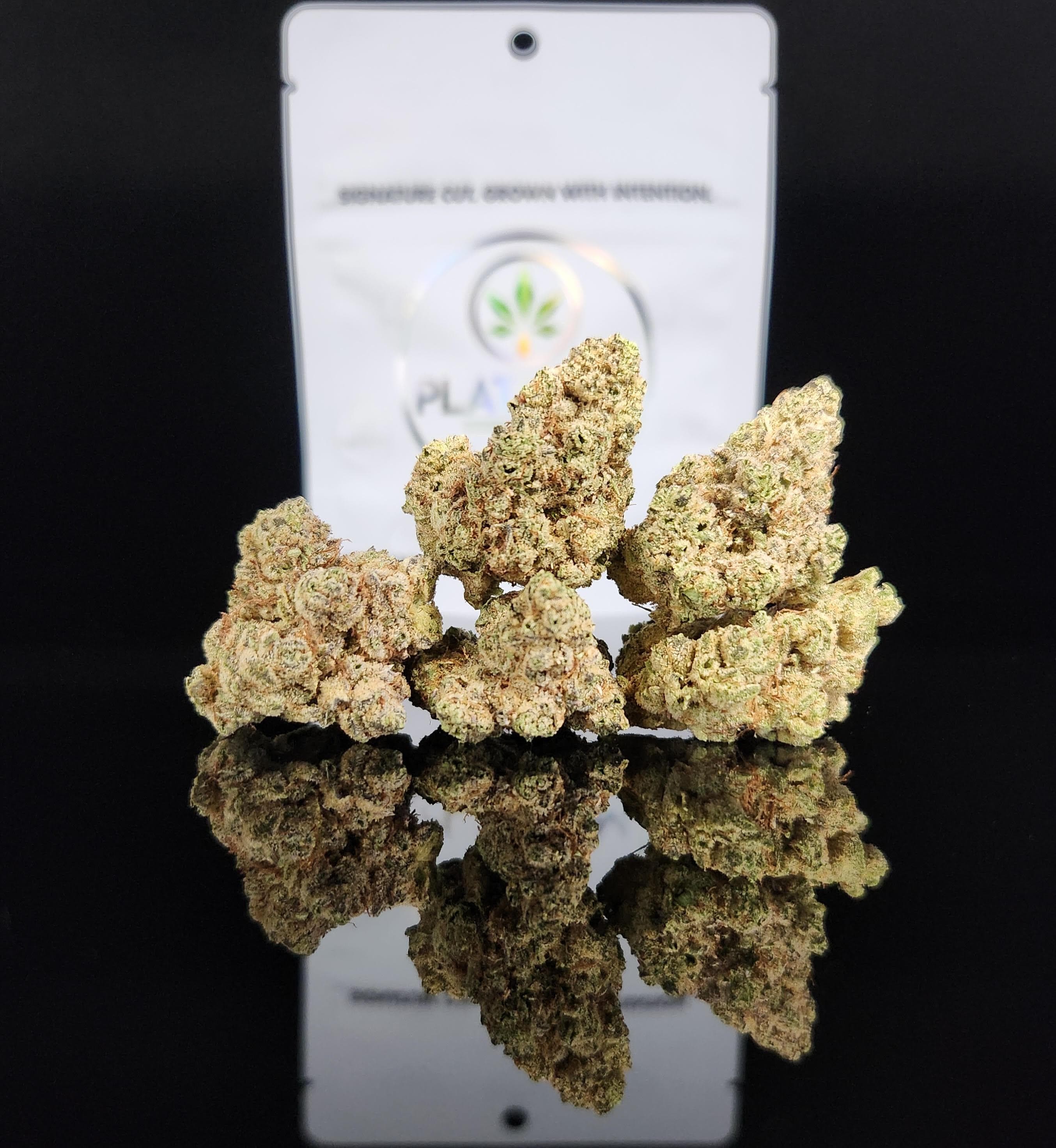 Flower Pf Rainbow Sherbert Ih