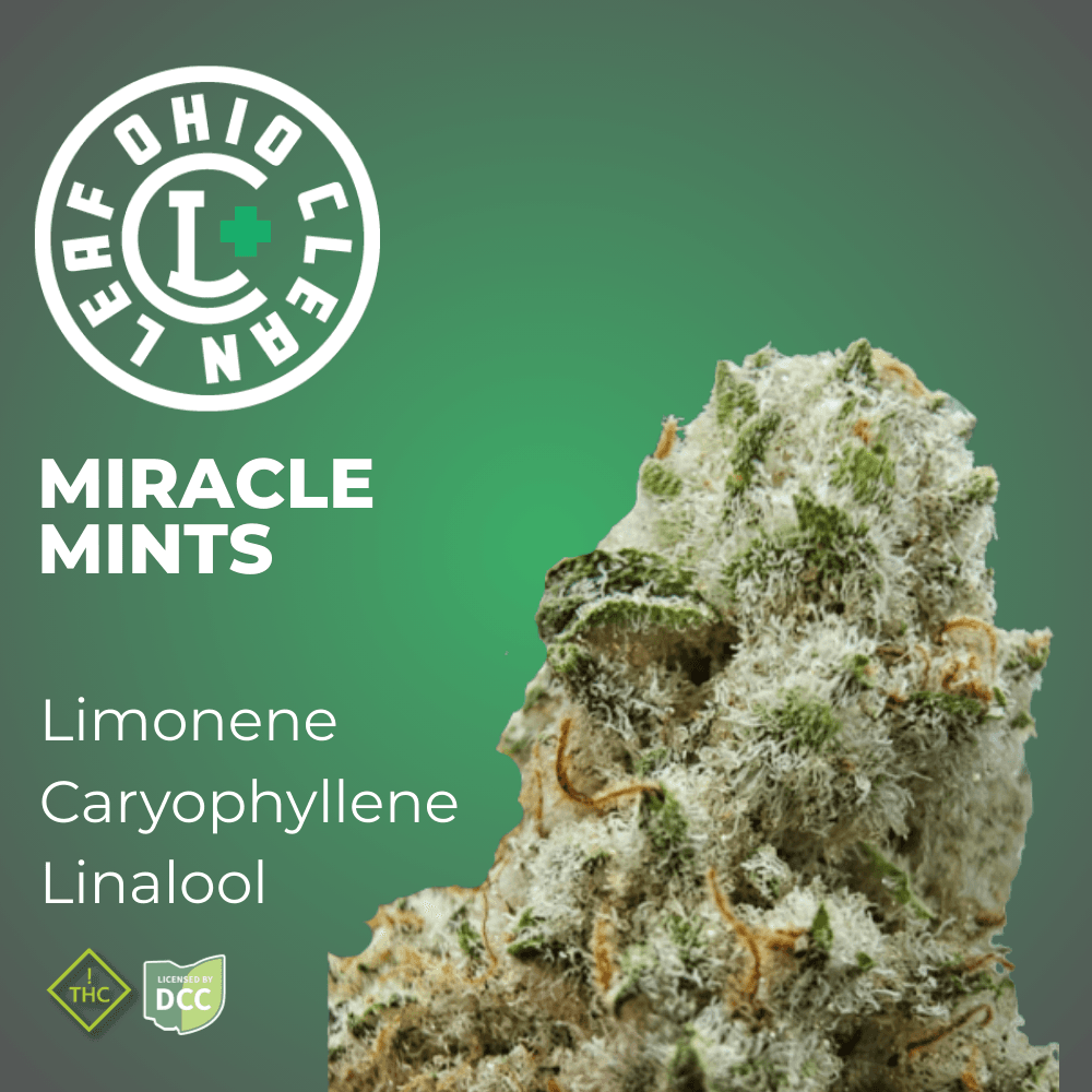 Miracle Mints 14.15g Hybrid