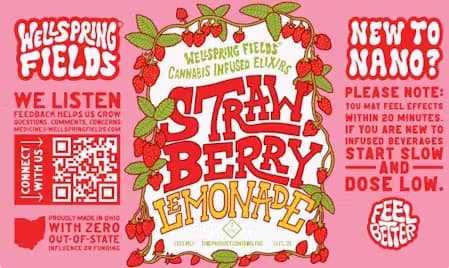 Strawberry Lemonade Elixir Drink | 55mg