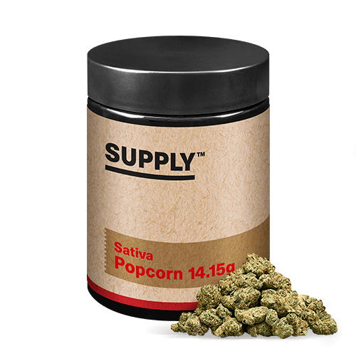 Rollins Popcorn - 377606