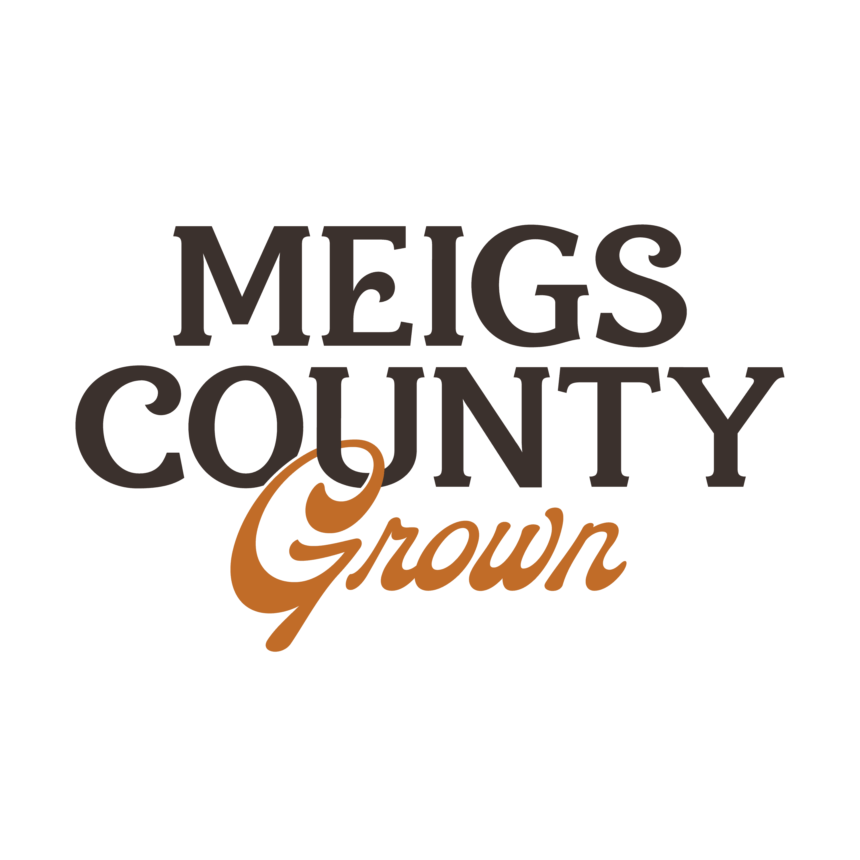Meigs County: Trainwreck - Cartridge .84g