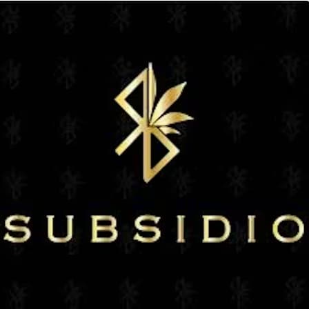 Subsidio | Chocolates | Nano-THC Infused | Peanut Butter Milk Chocolates | 10pk | 110mg