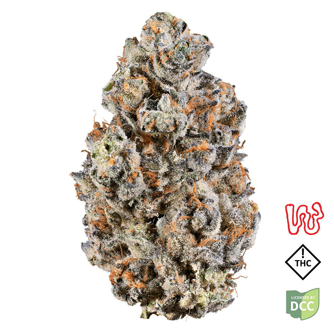 Lemon Cherry Sherbert
