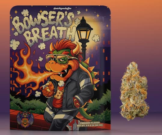 Bowsers Breath