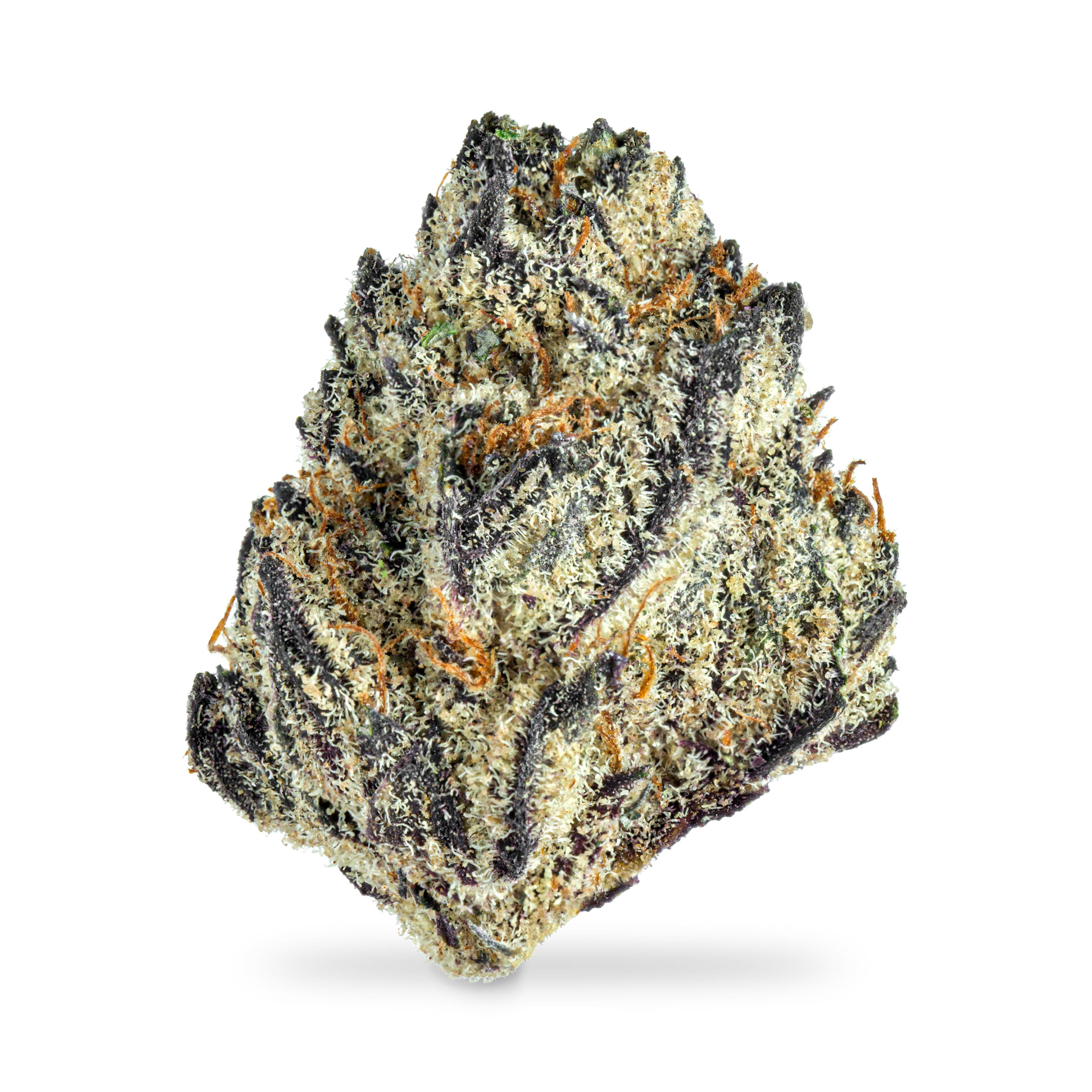 Fresh Coast Cake