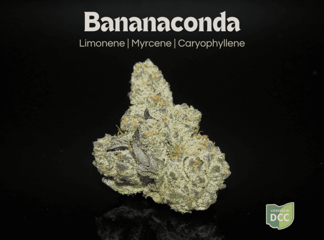 Bananaconda (14.15g)