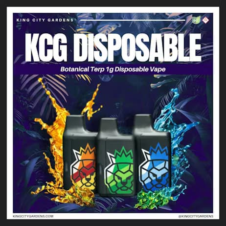 Original Z Disposable 1g (Hybrid) | King City Gardens