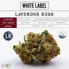 Butterfly Effect Lavender Kush 28.3g