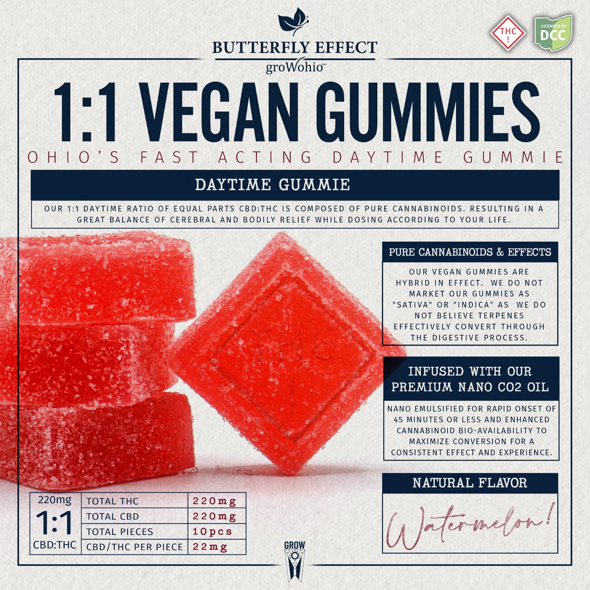 WATERMELON 1:1 CBD GUMMIE (220MG)