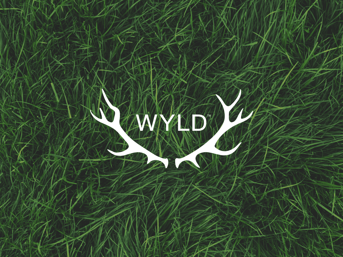 WYLD - Peach Hybrid 1:2 CBD Gummies 50 mg