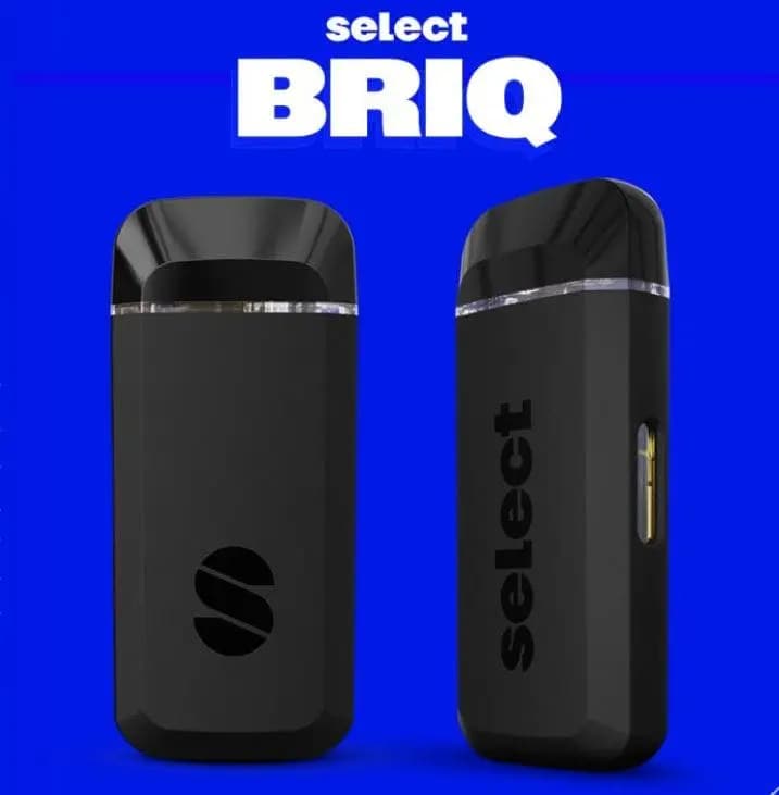 Champ Kush | Briq Disposable 2g