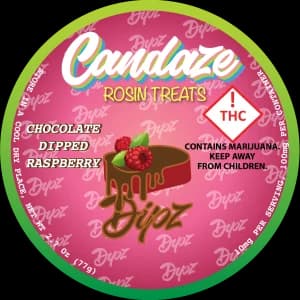 Dipz Chocolate Dipped Raspberry