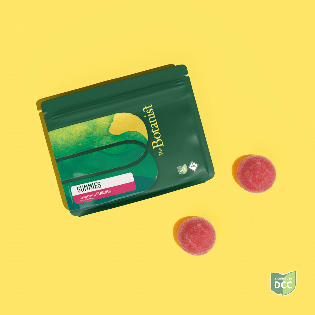 Raspberry Punch | 2pk 110mg High-Dose Gummies