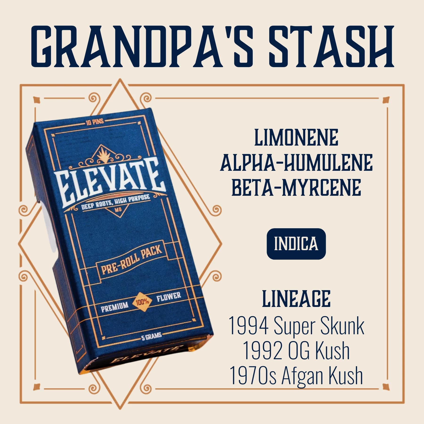 Grandpa Stash