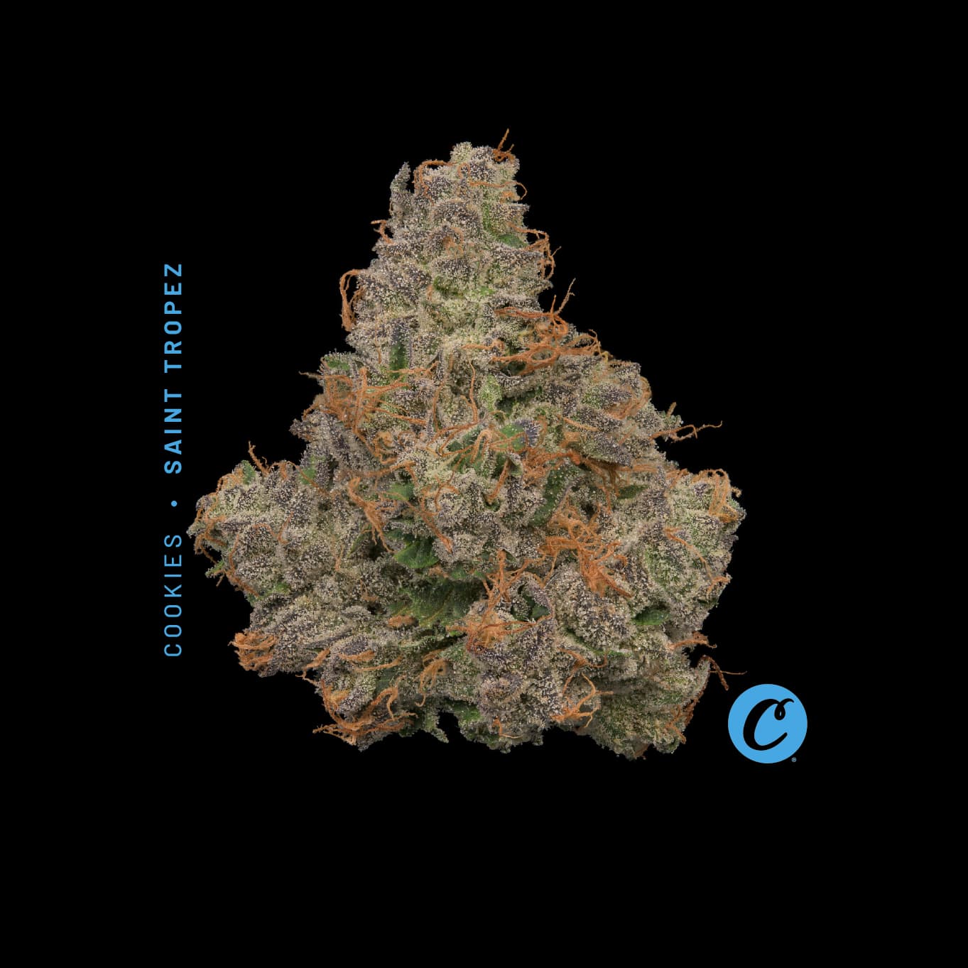 Saint Tropez | Smalls 14.15g