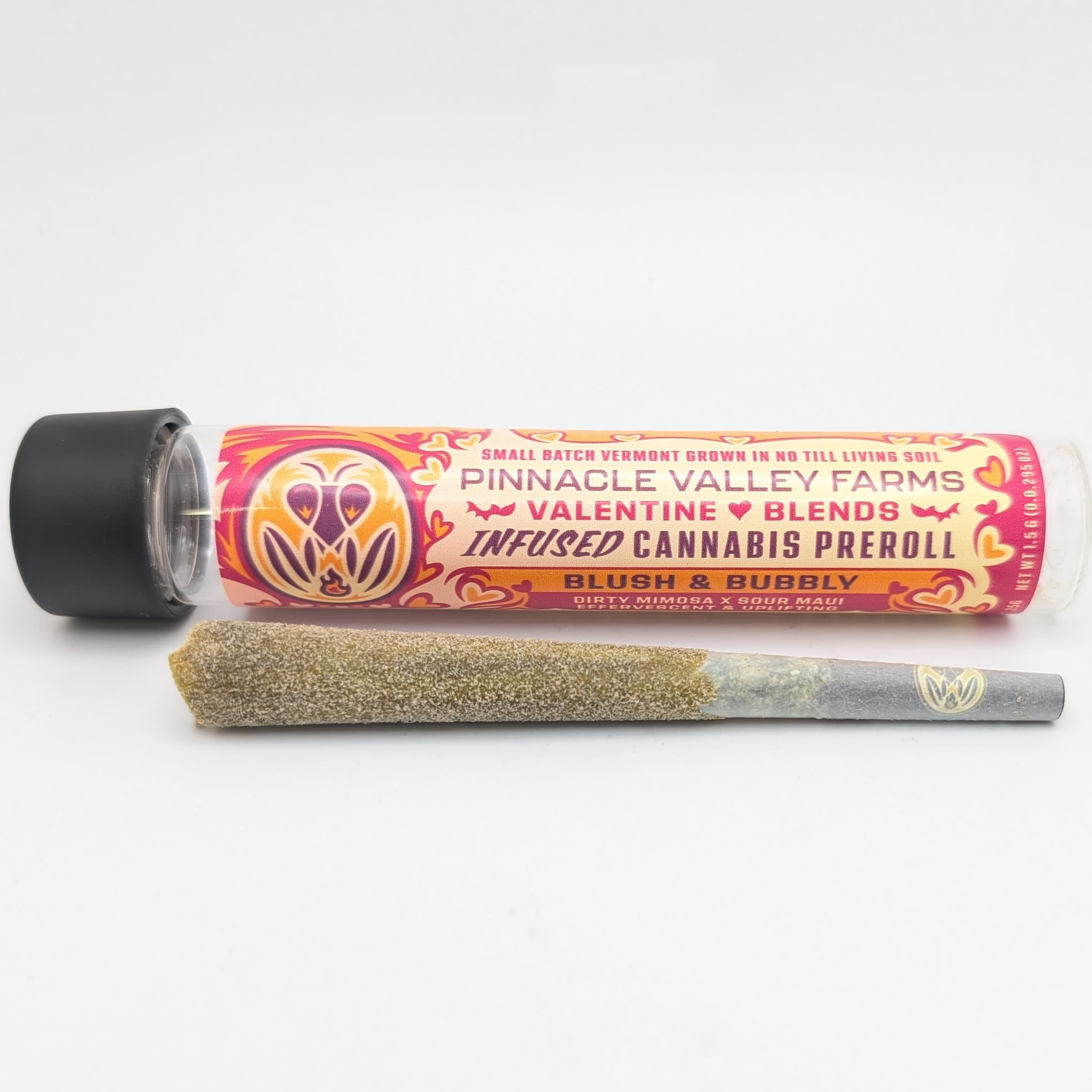 Blush Bubbly 1.5g Infused Pre