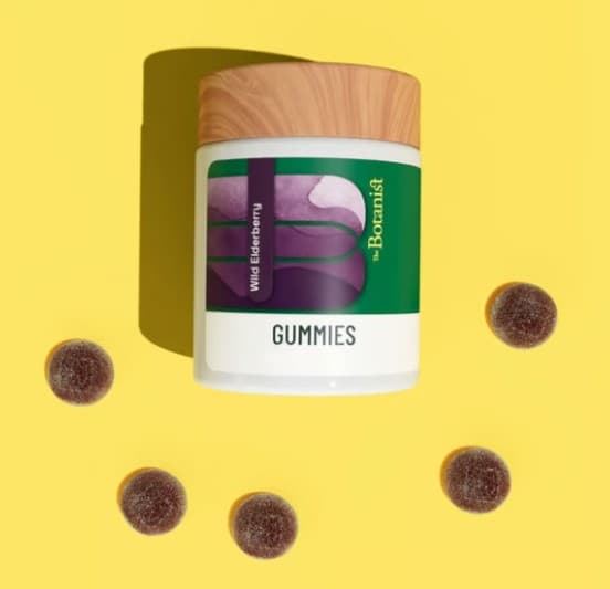 Wild Elderberry - 4pk 95mg