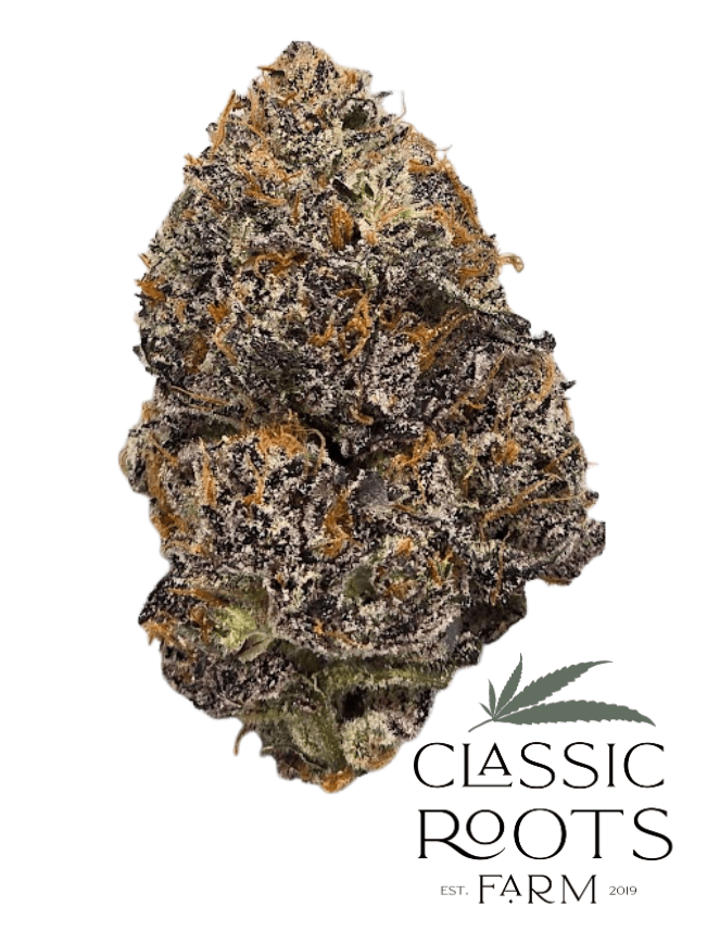 Farms Yellow Mermaid Buds