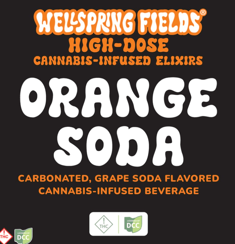 Extra Strength Orange Soda | Wellspring Fields | 200MG | 12 fl oz | 2pk