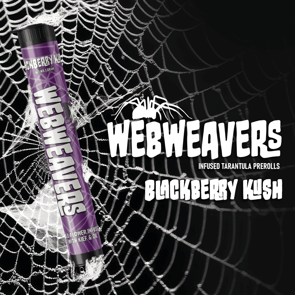 Blue Widow Infused Tarantula Webweaver