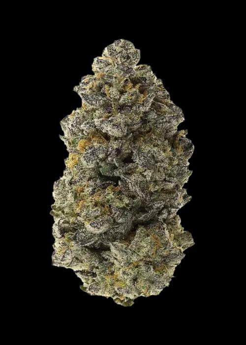 Au Blume White Runtz Smalls