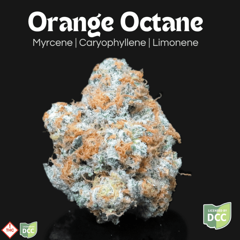 Orange Octane [11.32g]