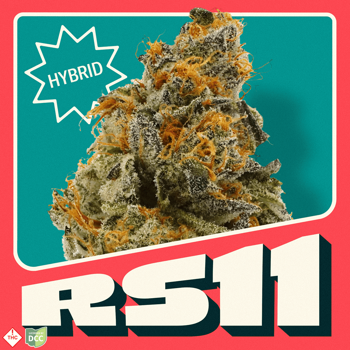 RS11 [14.15g]