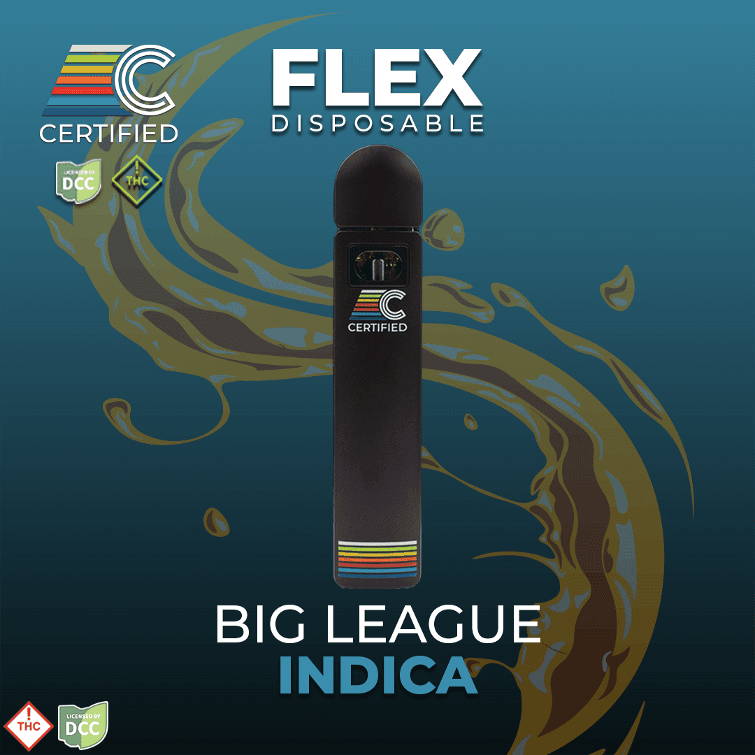 Big League [1g]