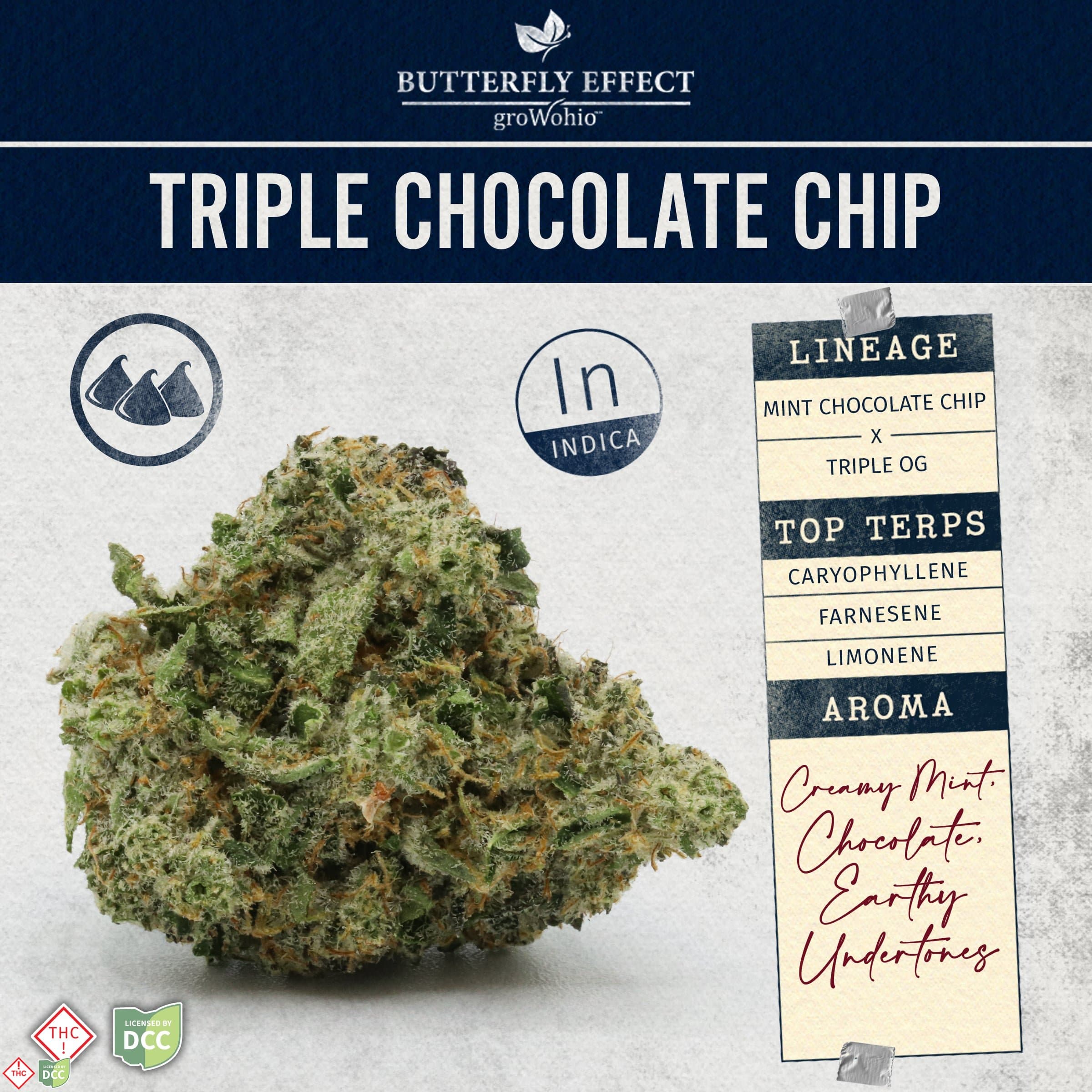 Triple Chocolate Chip [28.3g]