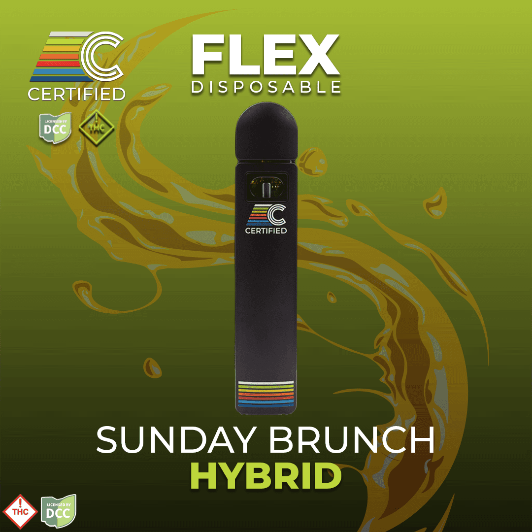 Sunday Brunch [1g]
