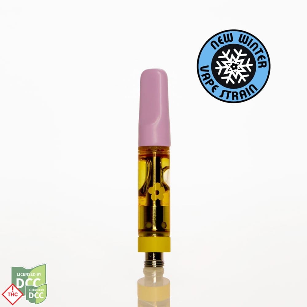 Apres Ski | Indica