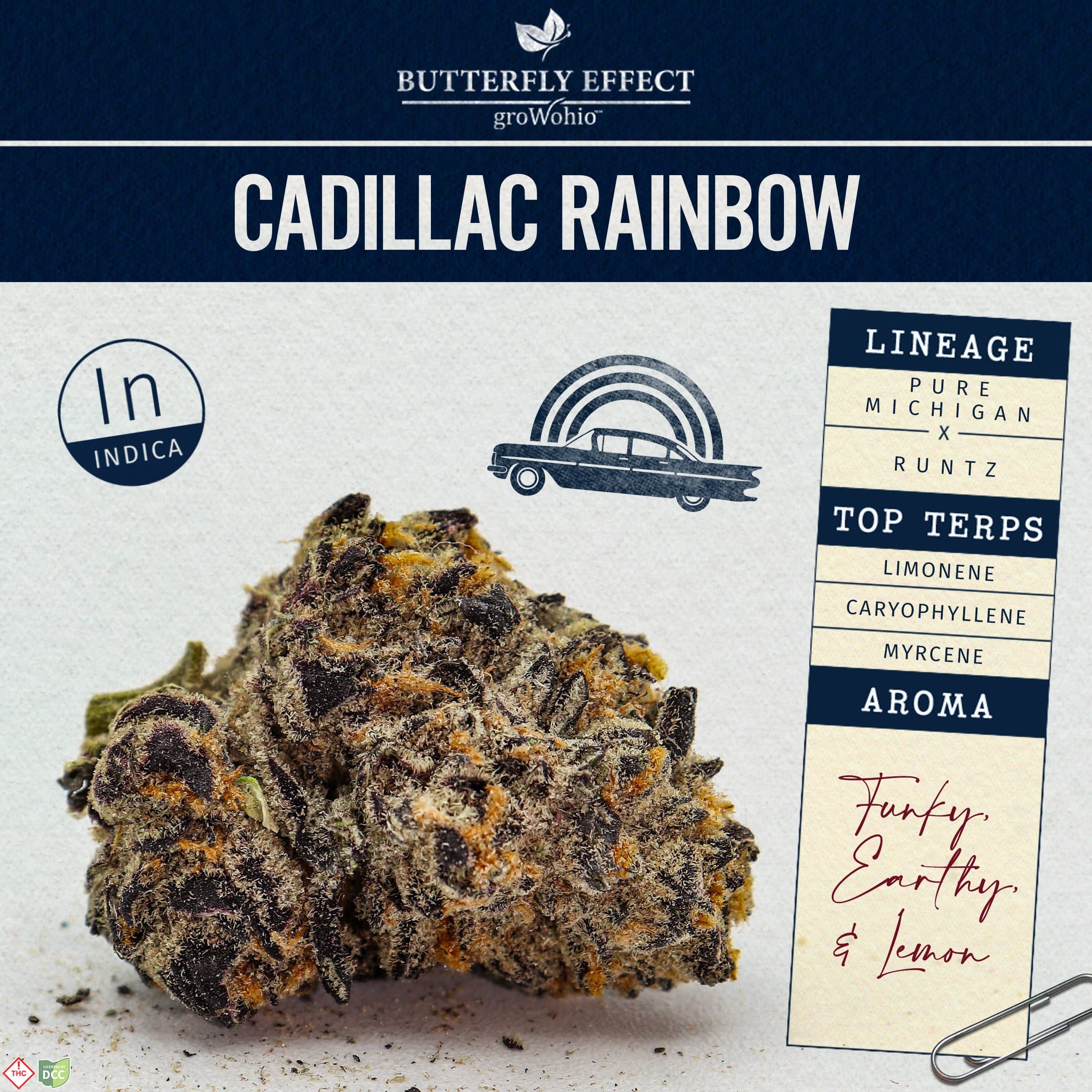 Cadilac Rainbow [2.83g]
