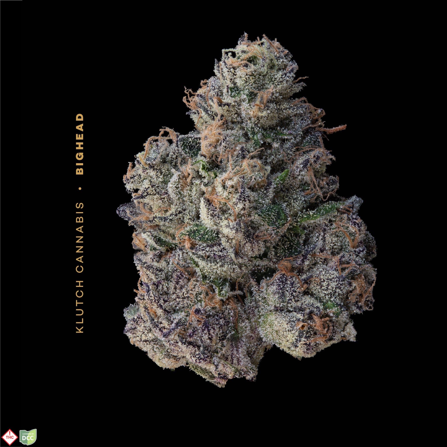 BIG HEAD - FLOWER - 2.83G - INDICA - TIER 2