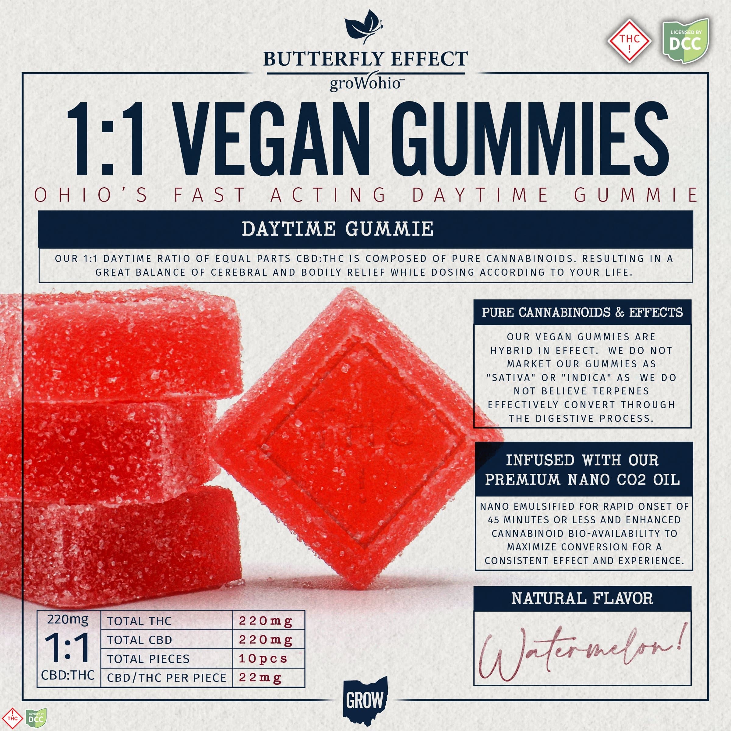 1:1 Watermelon Gummies [10pk] (220mg CBD/220mg THC)