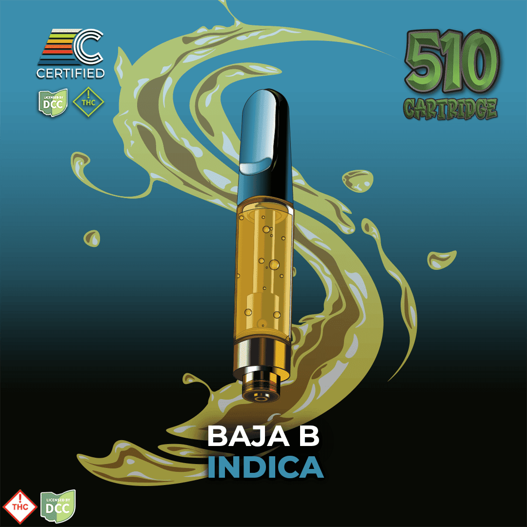 Baja B