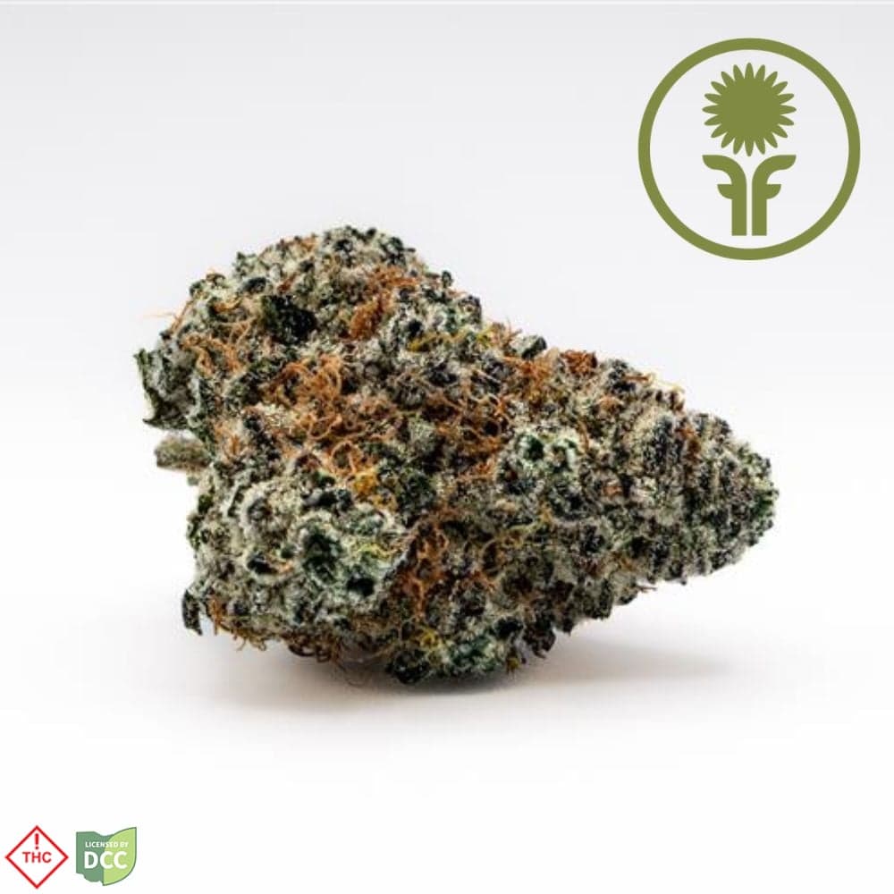Purple Starfruit [14.15g]
