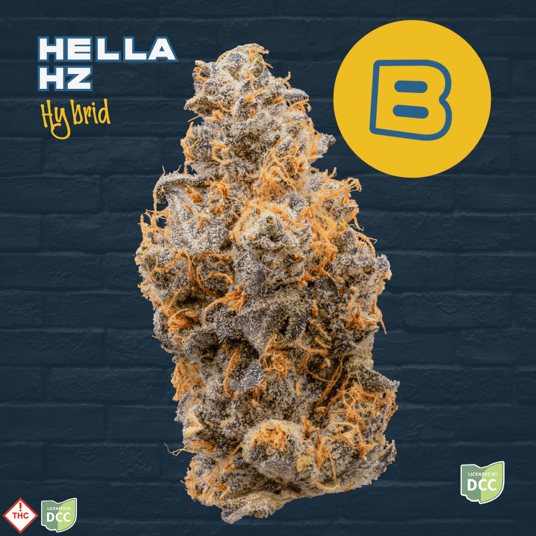 Hella Hz 14.15g