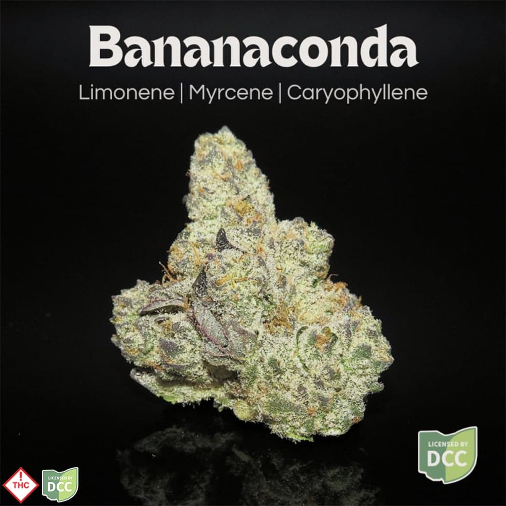Bananaconda [11.32g]